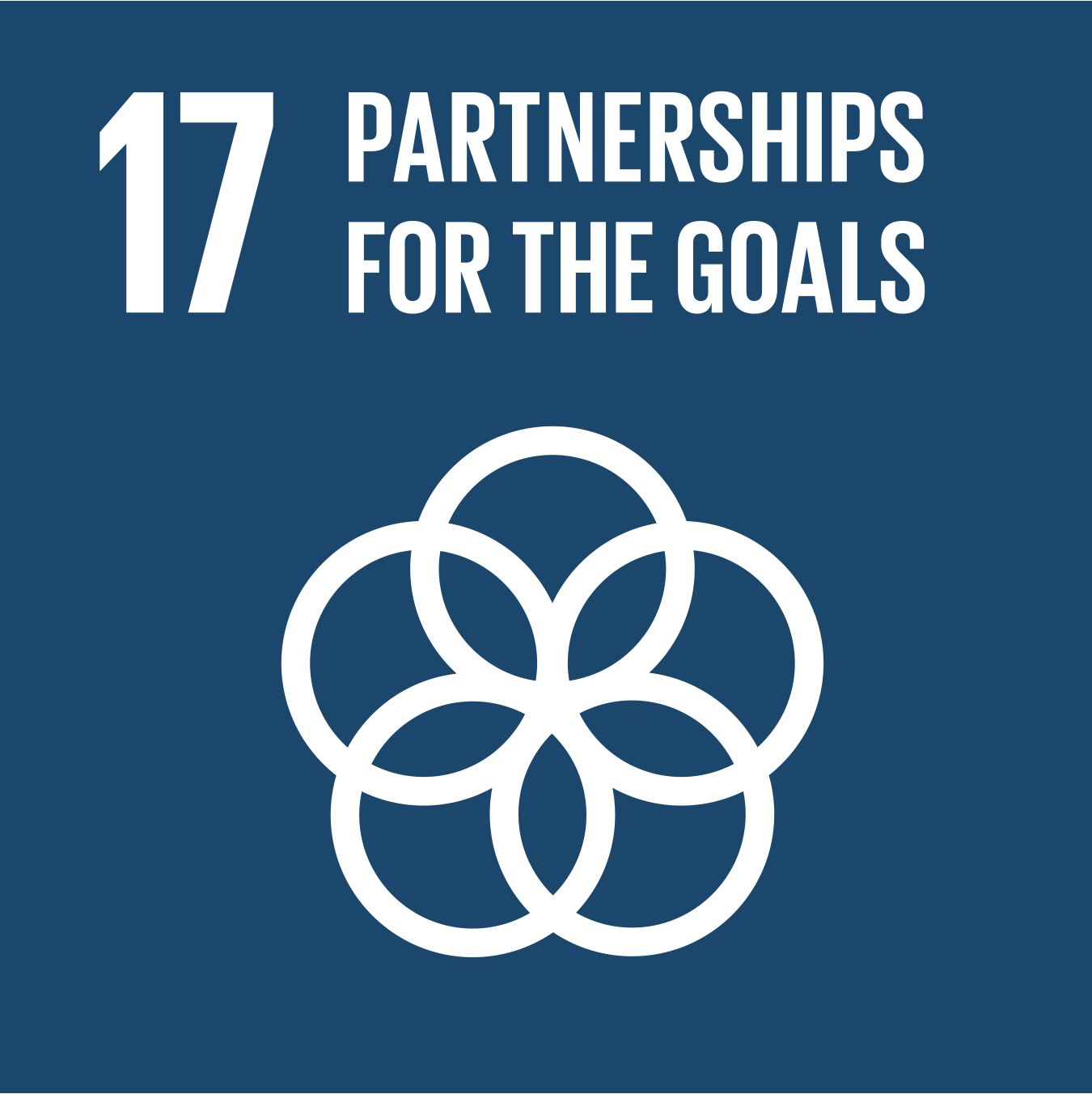 SDG Goal 17